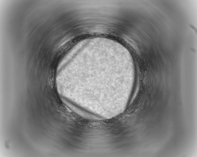 X0000098131015200805080954