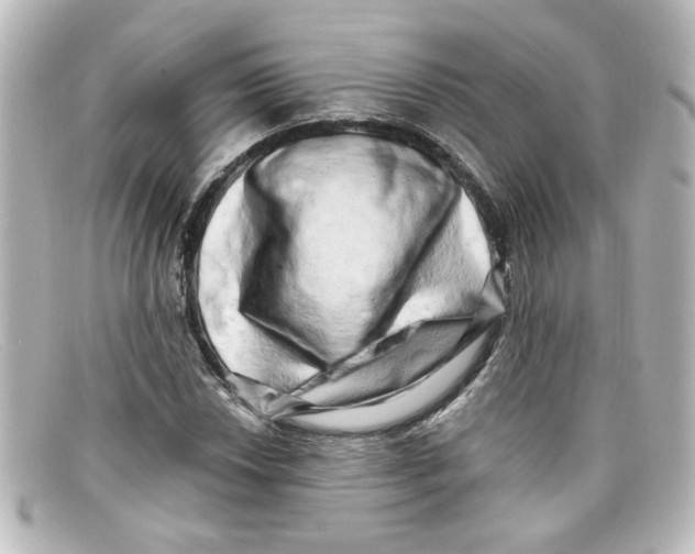 X0000098131018200805080954