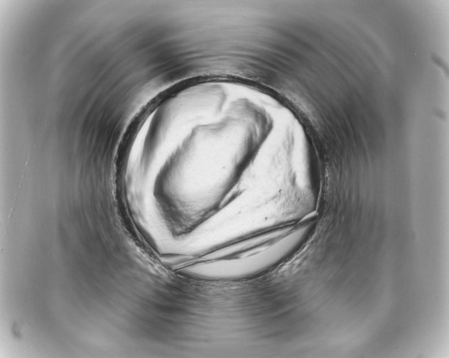 X0000098131020200805080954