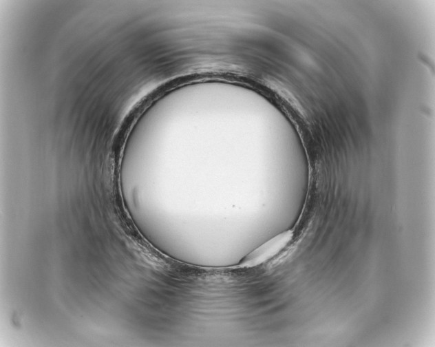 X0000098131021200805080954