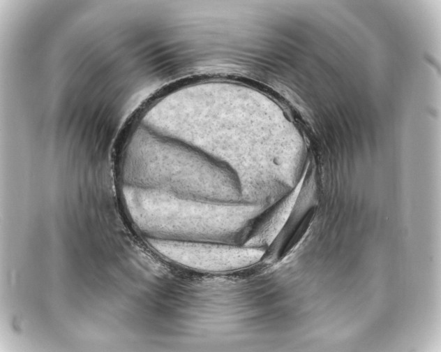 X0000098131022200805080954