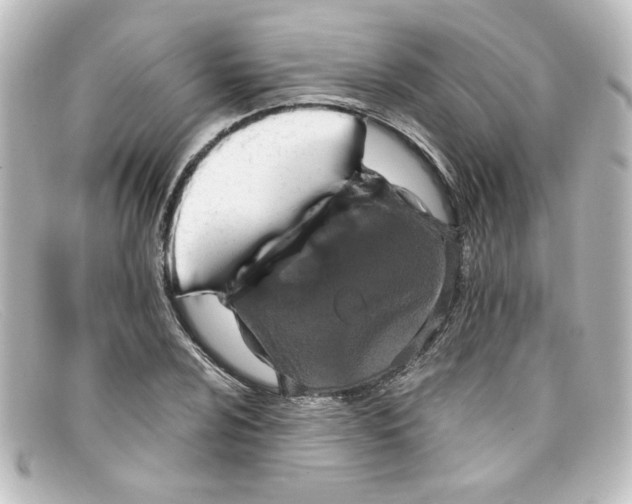X0000098131024200805080954