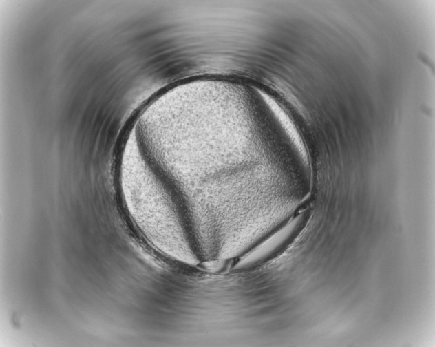 X0000098131026200805080954