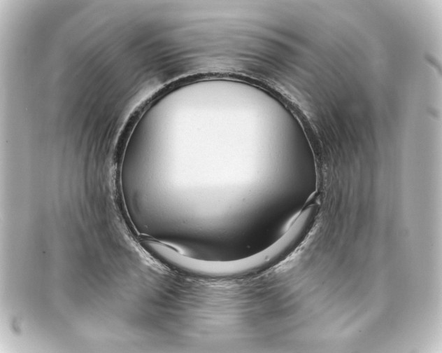 X0000098131029200805080954