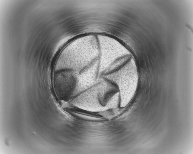 X0000098131030200805080954