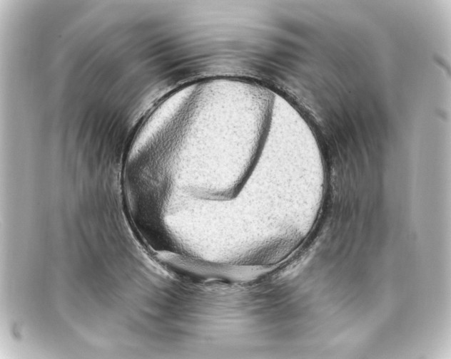X0000098131033200805080954