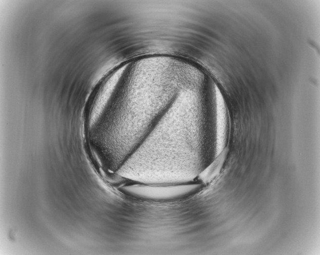 X0000098131034200805080954