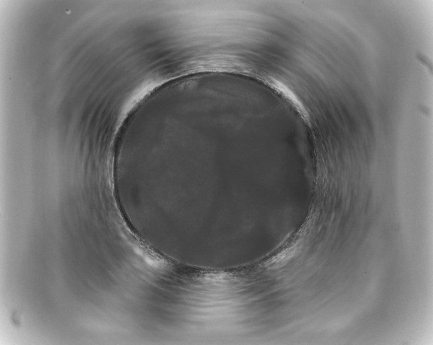 X0000098131035200805080954