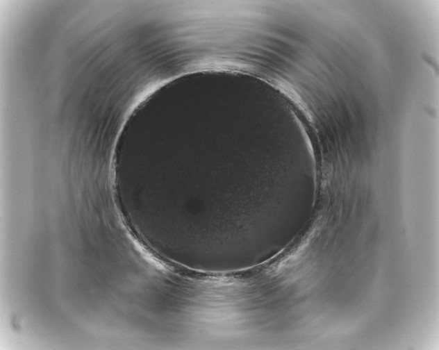 X0000098131037200805080954
