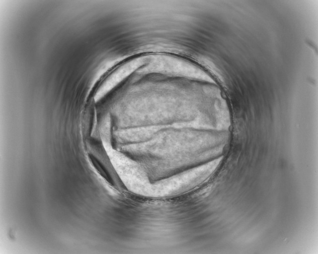 X0000098131040200805080954