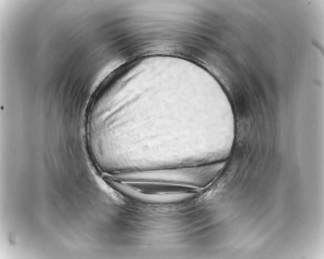 X0000098131042200805080954