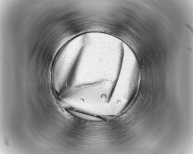 X0000098131044200805080954