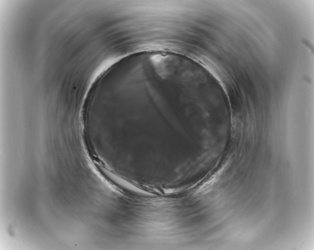 X0000098131045200805080954