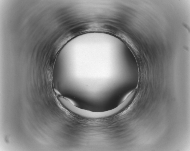 X0000098131049200805080954