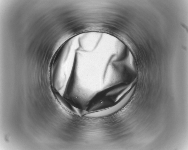 X0000098131050200805080954