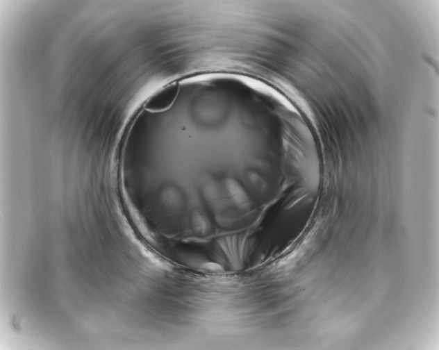 X0000098131053200805080954