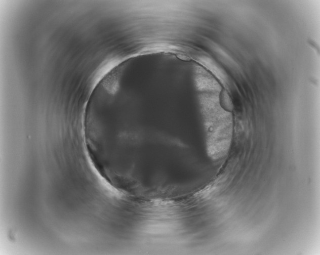 X0000098131055200805080954
