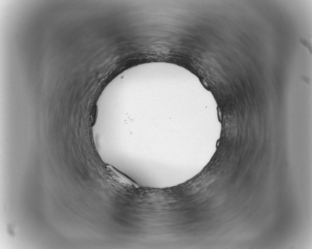 X0000098131057200805080954