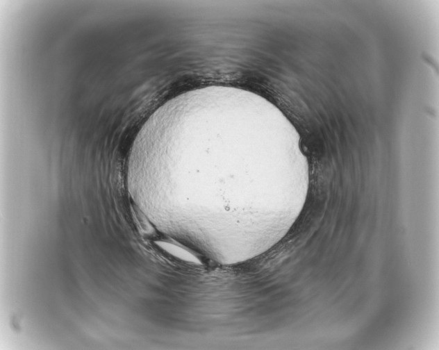 X0000098131058200805080954