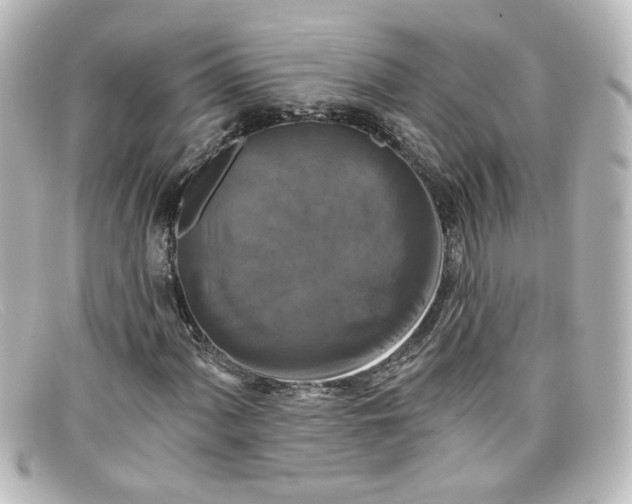 X0000098131060200805080954