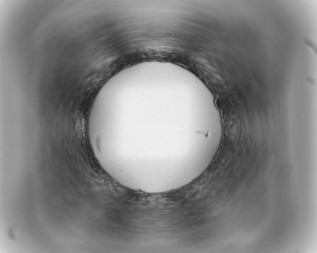 X0000098131061200805080954