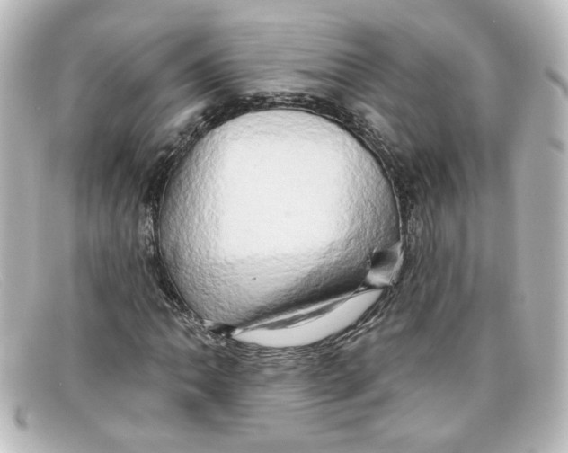 X0000098131062200805080954
