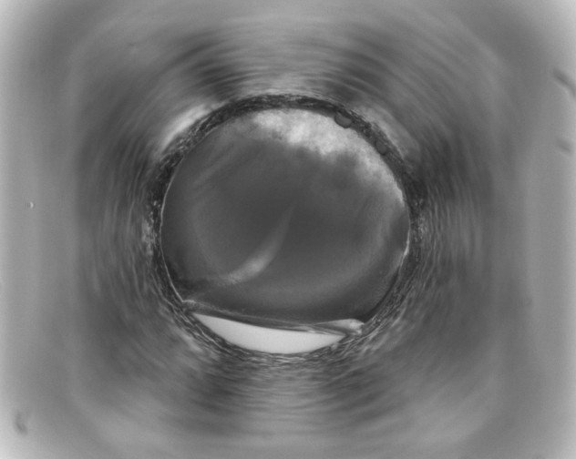 X0000098131064200805080953