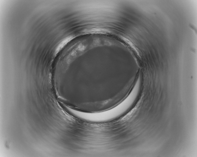 X0000098131066200805080953