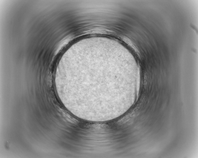 X0000098131067200805080953