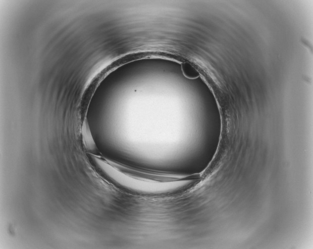 X0000098131069200805080953