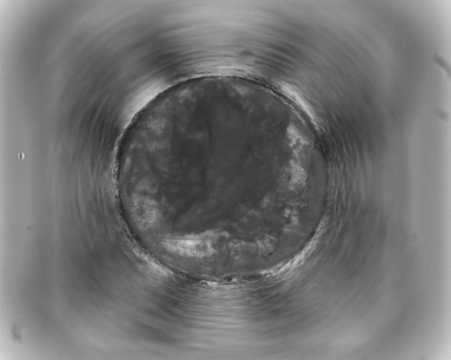 X0000098131071200805080953