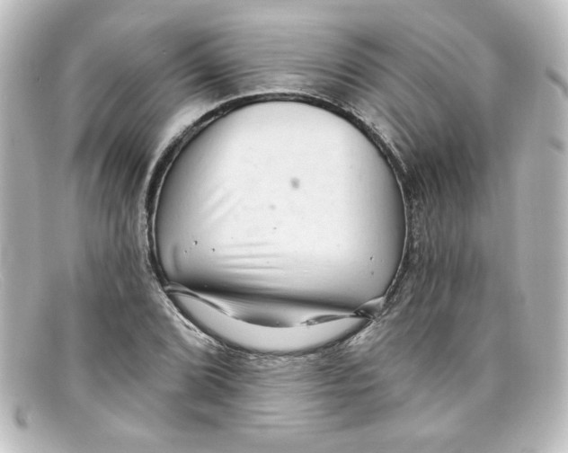 X0000098131072200805080953