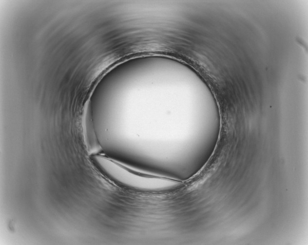 X0000098131073200805080953
