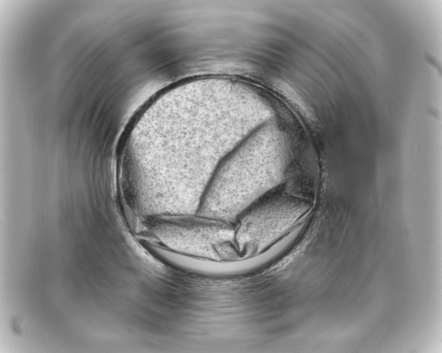 X0000098131079200805080953