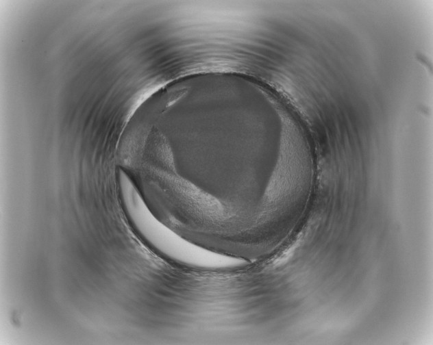 X0000098131081200805080953
