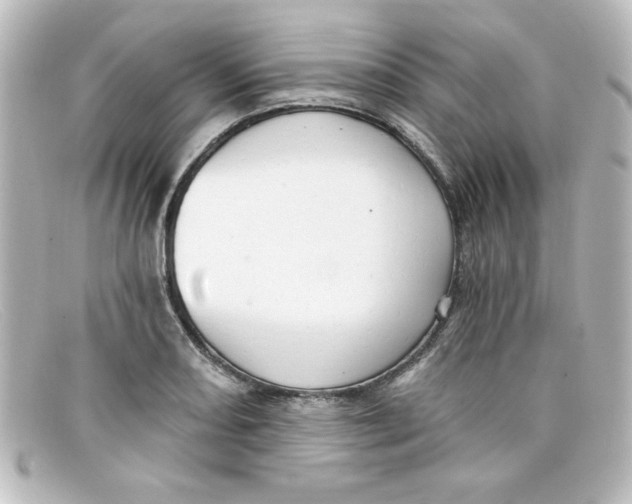 X0000098131082200805080953