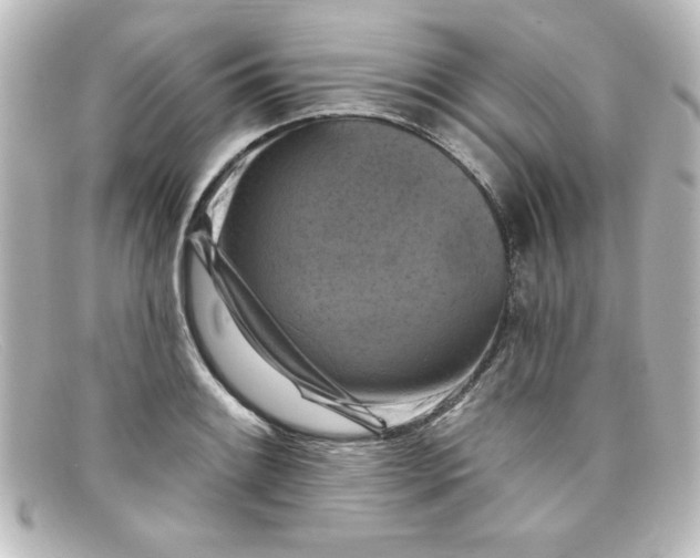 X0000098131084200805080953