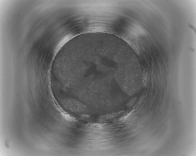 X0000098131086200805080953