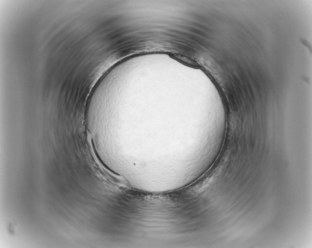 X0000098131089200805080953