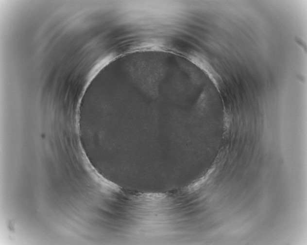 X0000098131090200805080953