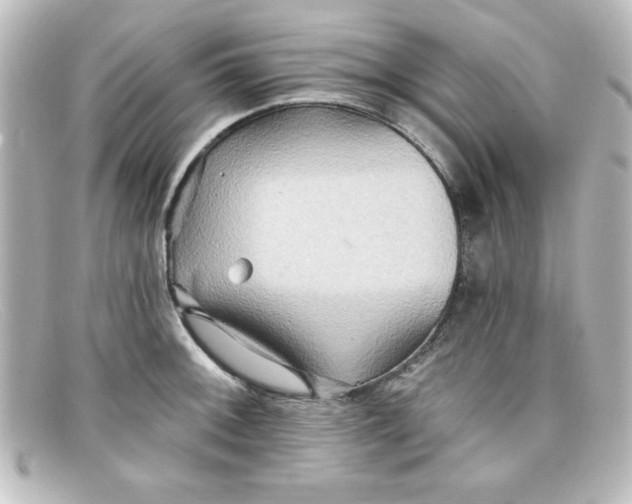 X0000098131092200805080953