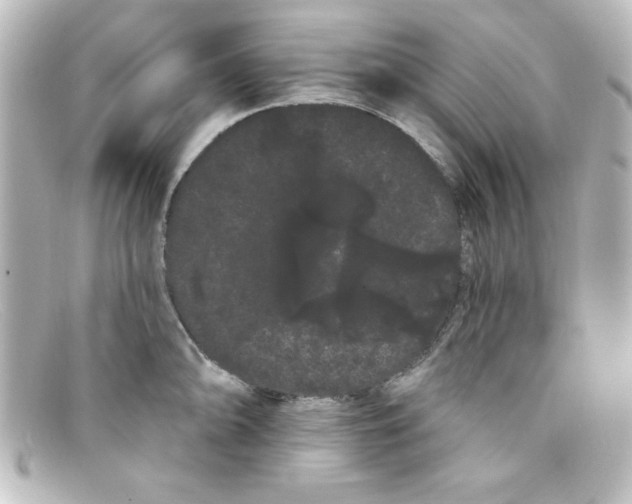 X0000098131094200805080953