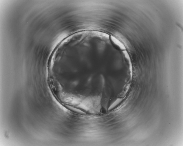 X0000098131095200805080953