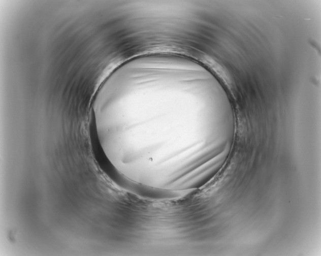 X0000098131097200805080953