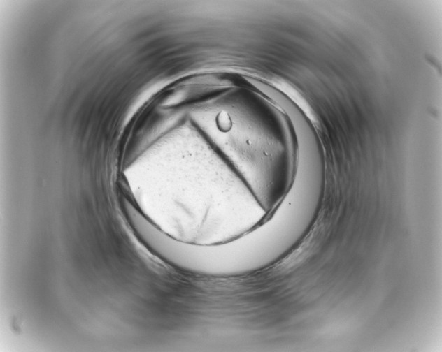 X0000098131101200805080953