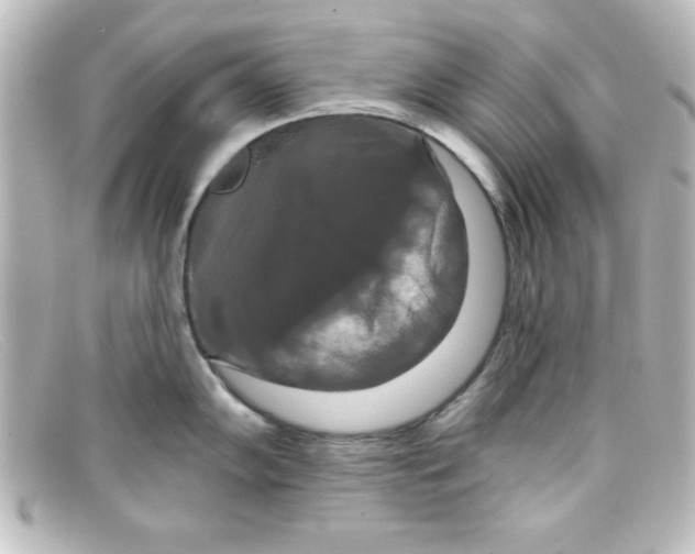 X0000098131102200805080953