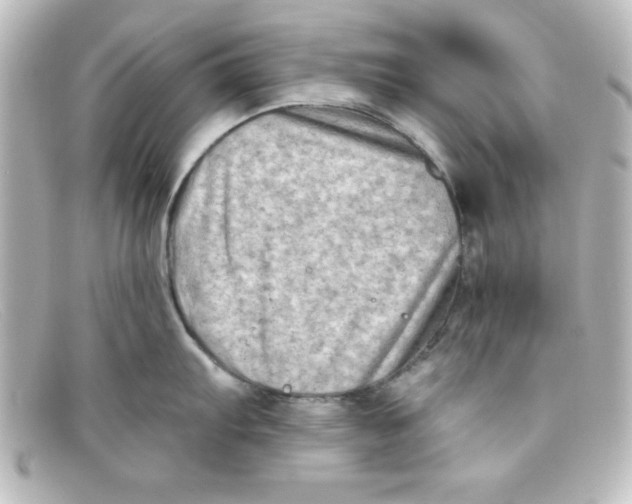 X0000098131103200805080953