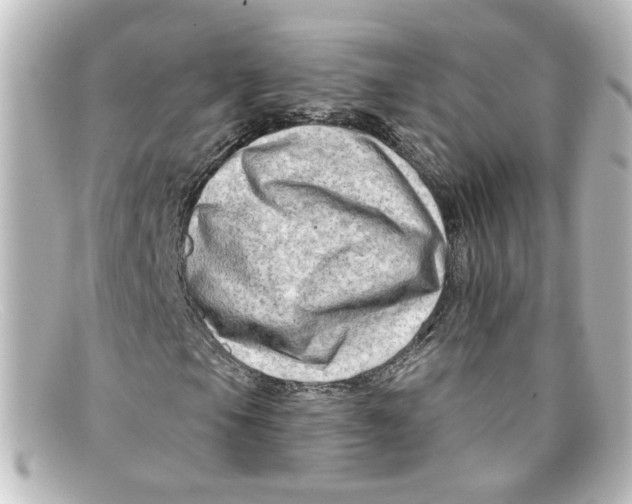X0000098131105200805080952
