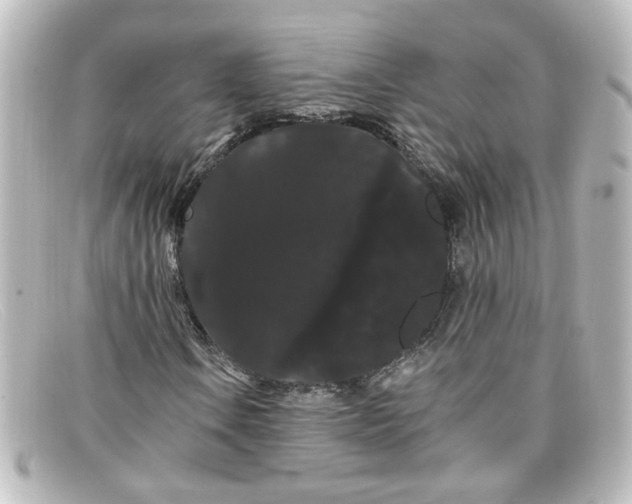 X0000098131106200805080952