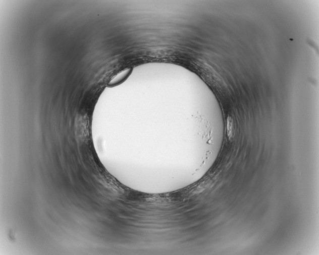 X0000098131107200805080952